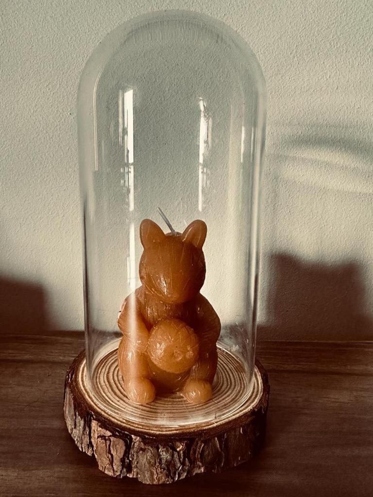 Love, Made In Xisto Piódão المظهر الخارجي الصورة